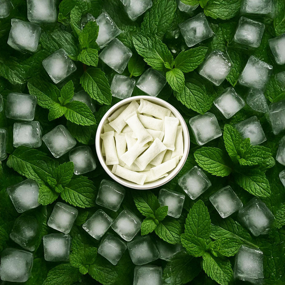 Cool Mint (Mild – 6mg) Nicotine Pouches
