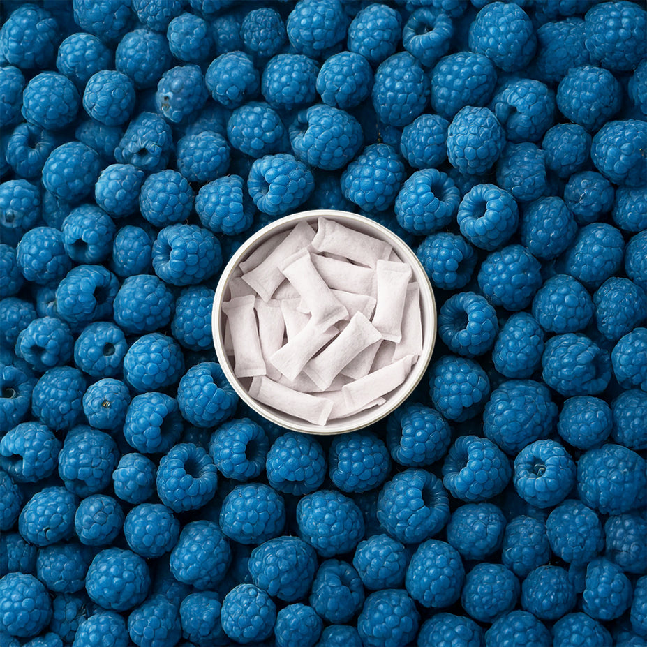 Blue Razz Lemonade (Standard) No Nic Pouches