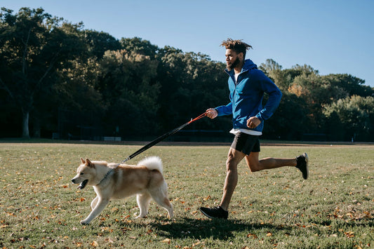The Everyday Boost You Need for Lasting Stamina