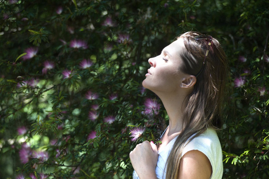 Supporting Mindfulness Practices with Mental Clarity